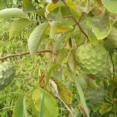 Villa Luz - Family House Vacations- Large Private Outdoor Area *