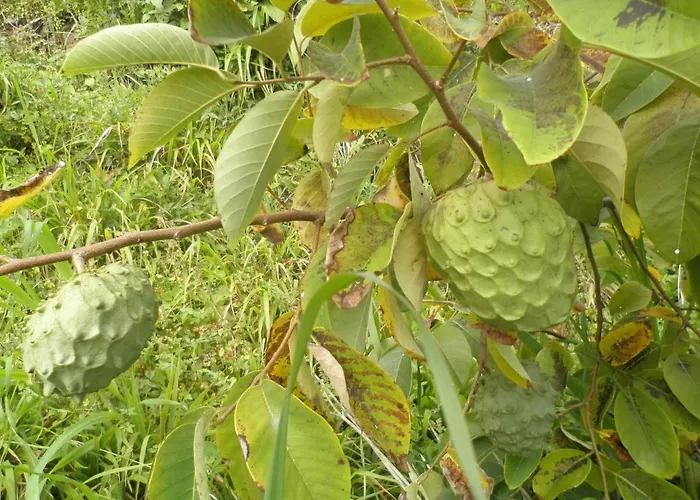 Villa Luz - Family House Vacations- Large Private Outdoor Area *