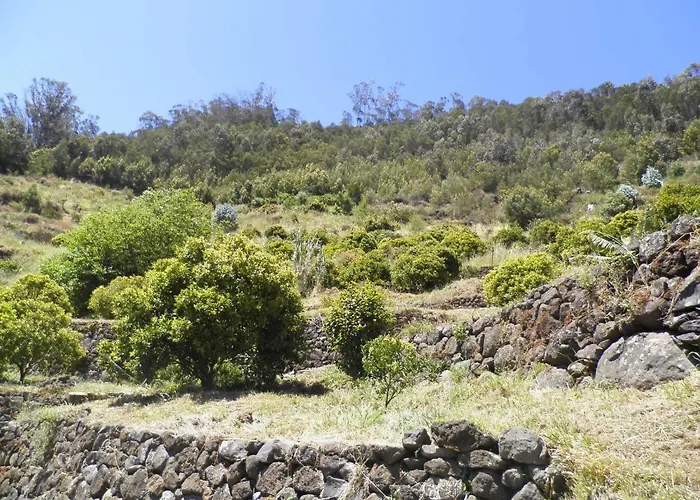 Luz - Family House Vacations- Large Private Outdoor Area * Santa Cruz (Madeira)